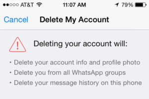 Delete My Account dialogue box
