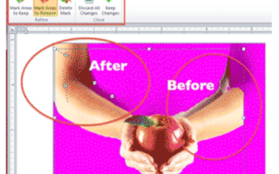 How to Remove Backgrounds and Colors from Images in Microsoft Word