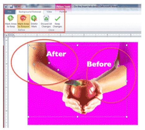 How to Remove Backgrounds and Colors from Images in Microsoft Word -  Royalwise