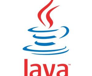 Homeland Security Issues Java Warning